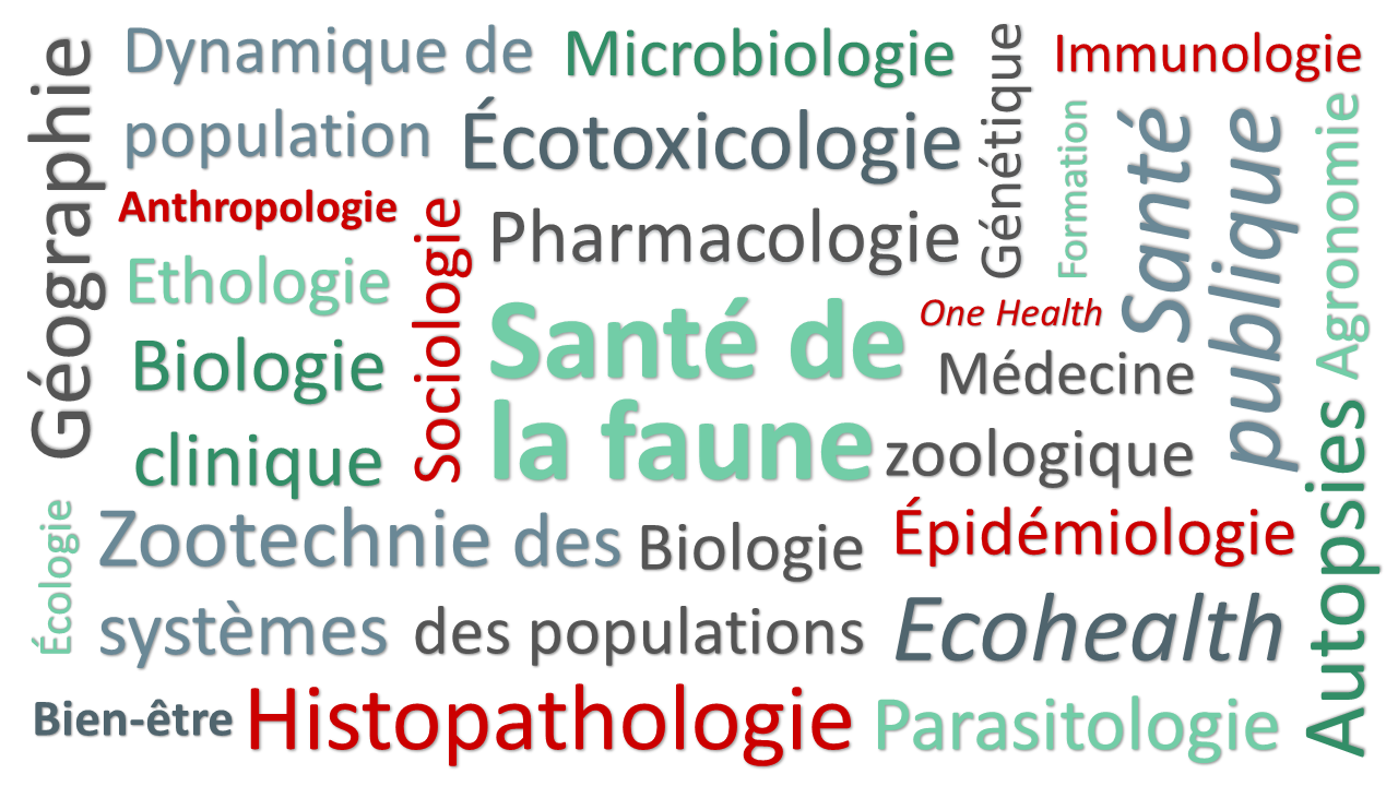 Compétences EVAAS