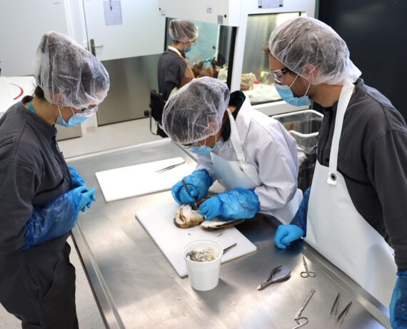 Autopsie pédagogique en salle BSL3