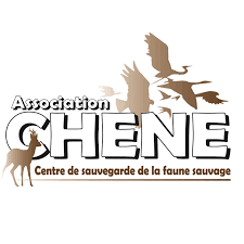 Association Chene